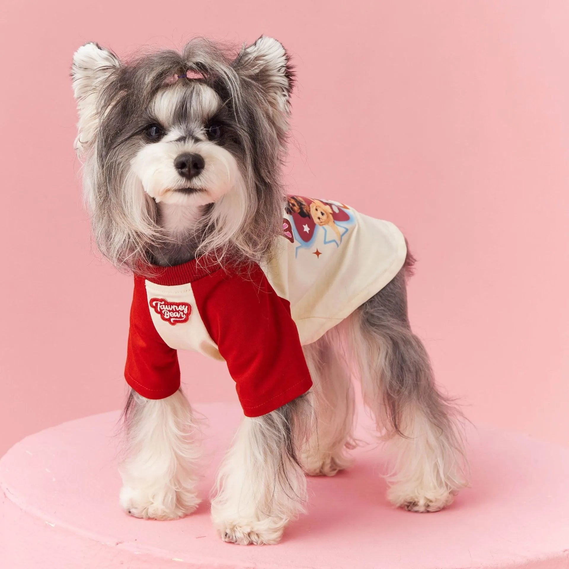 Red embroidered cotton dog clothing for summer in size medium on mannequin