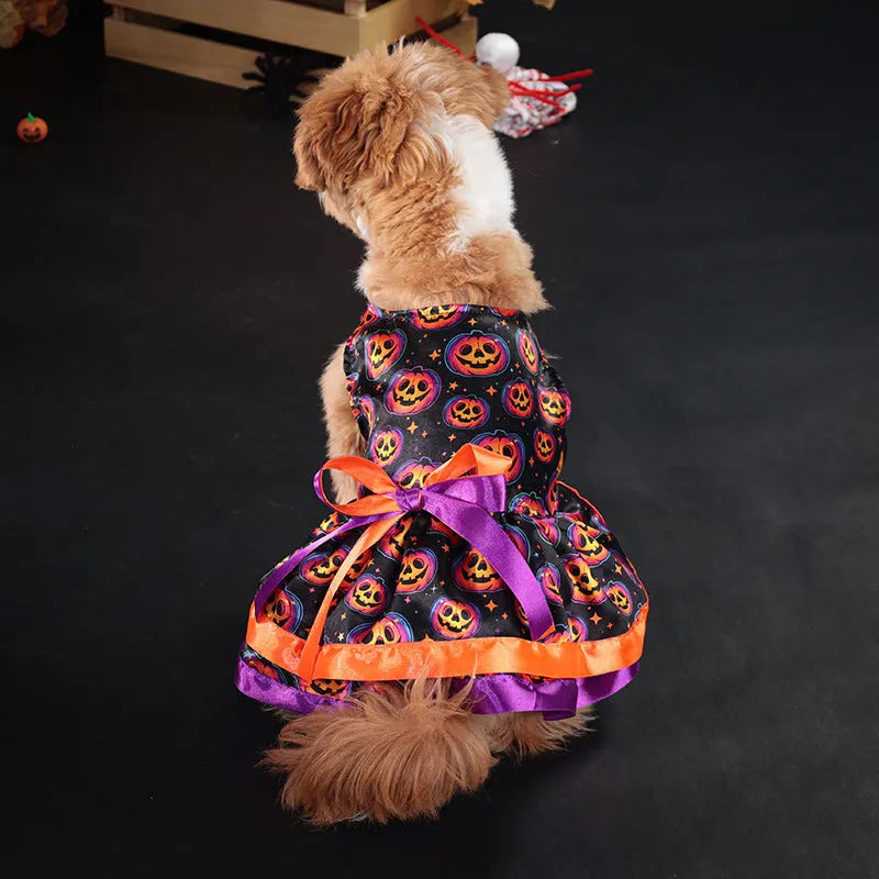 Colourful Halloween dog skirt with pumpkin print on a small dog.
