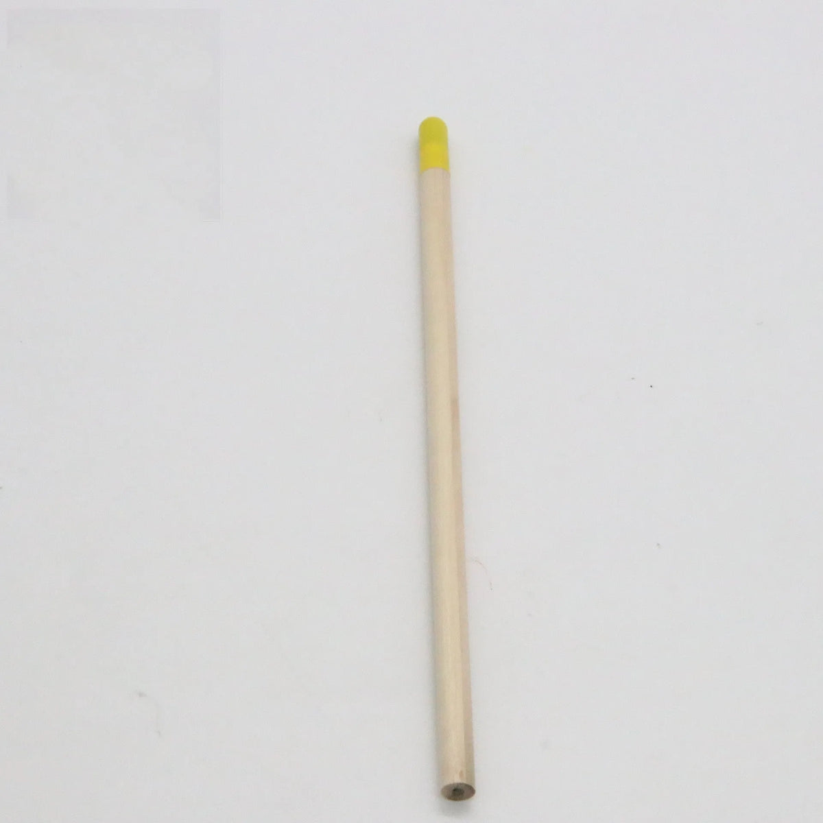 Seed pencil HB refill with biodegradable capsule containing plant seeds in multiple colour options