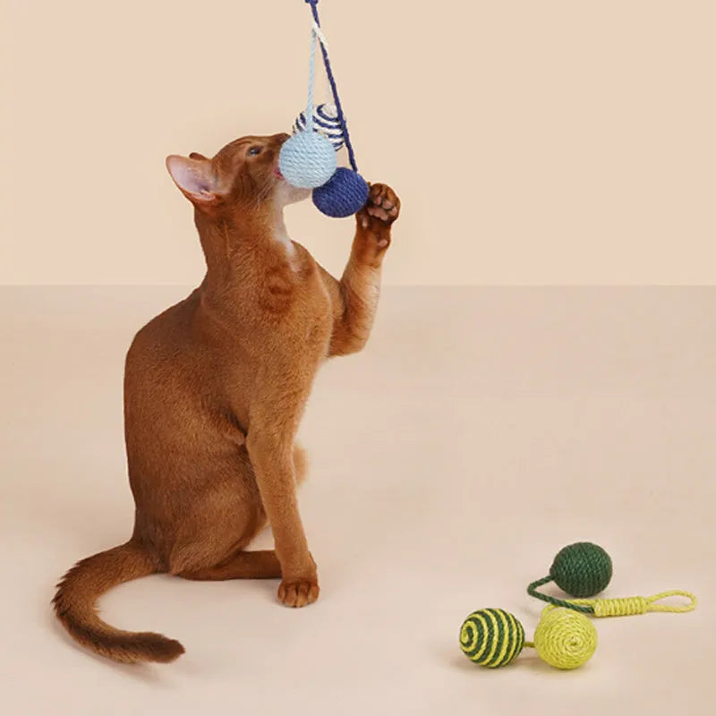 Cat teaser stick toy set with catnip balls in blue, green, and red yellow blue colour options