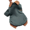 Grey dog wearing thin velvet sweater with detachable collar hood