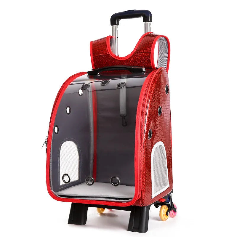 Transparent pet trolley with folding shoulder design in blue colour for small dog and cat transport