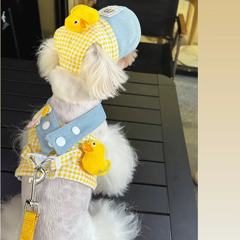 Three-piece pet harness and leash set with cute hat for cats and small dogs in spring summer colors