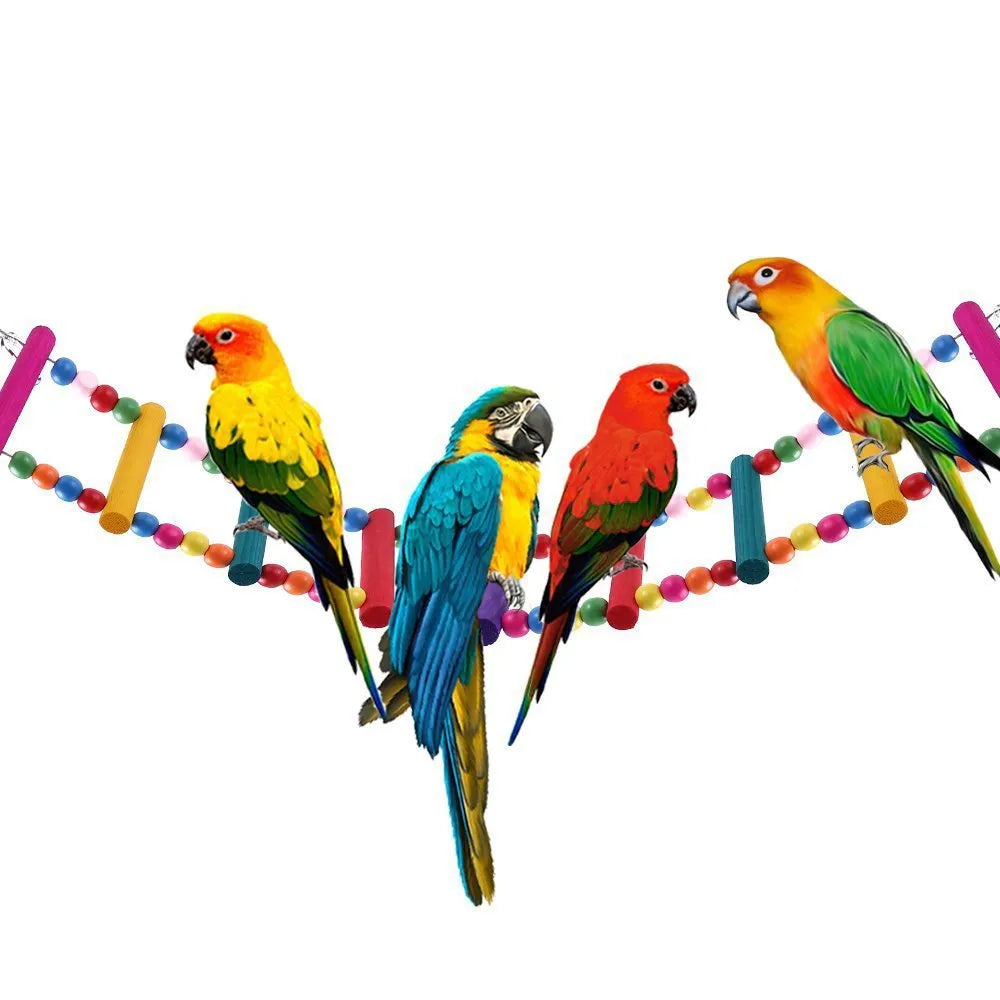 Wooden parrot climbing ladder with colourful rotating beads for bird cage enrichment