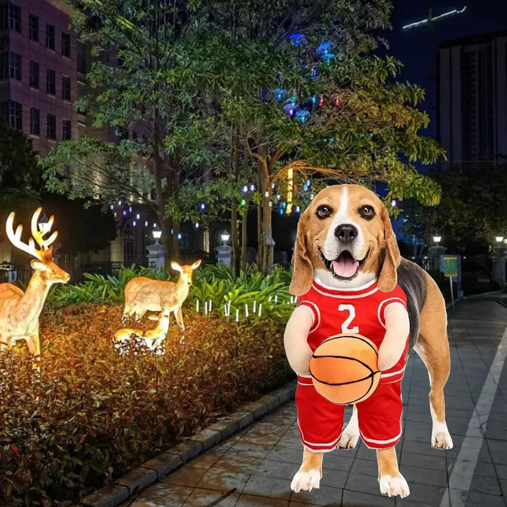 Small dog wearing red basketball player costume with padded arms and a bouncing basketball accessory