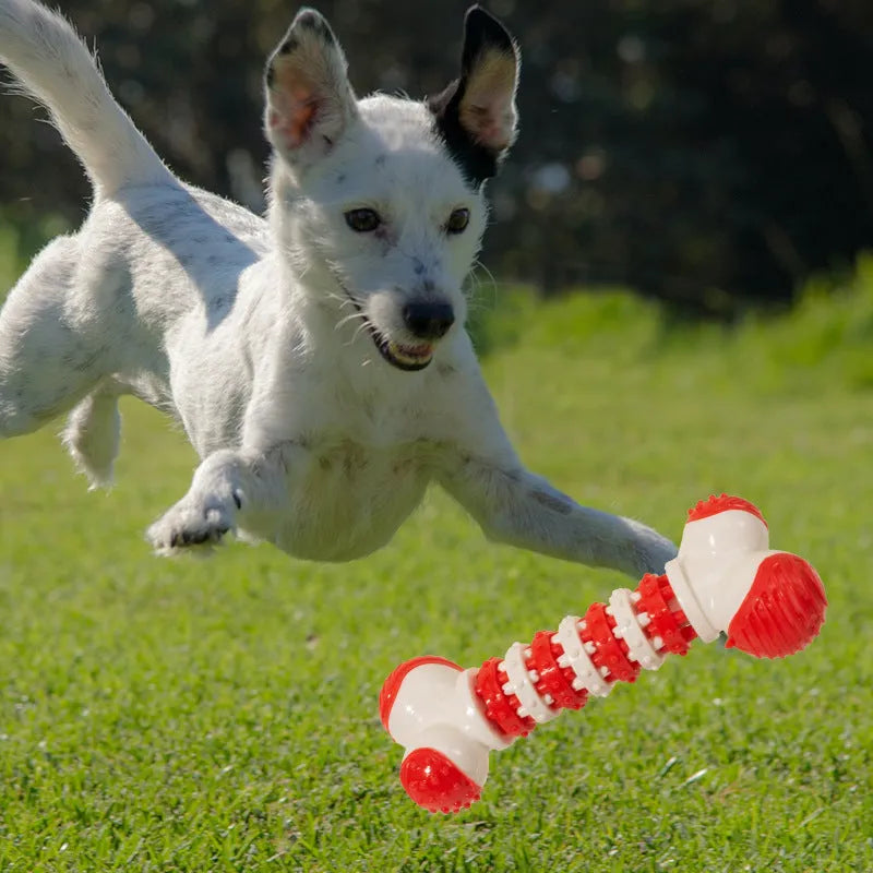 Blue, orange, and red bone-shaped interactive chew toy with treat holder for small breed dogs.