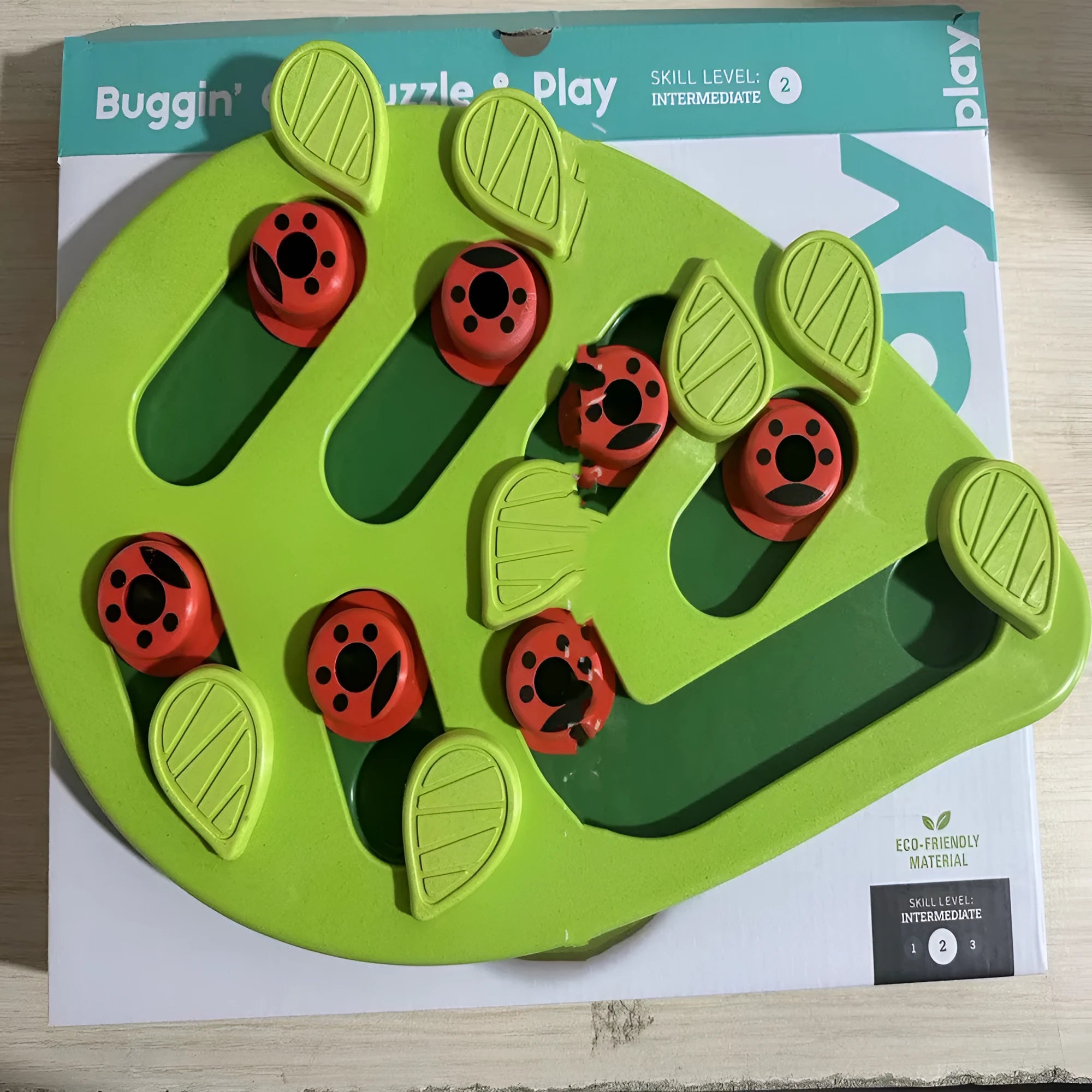 Green PP plastic Christmas slow feeding bowl with Wizard of Oz theme for cats