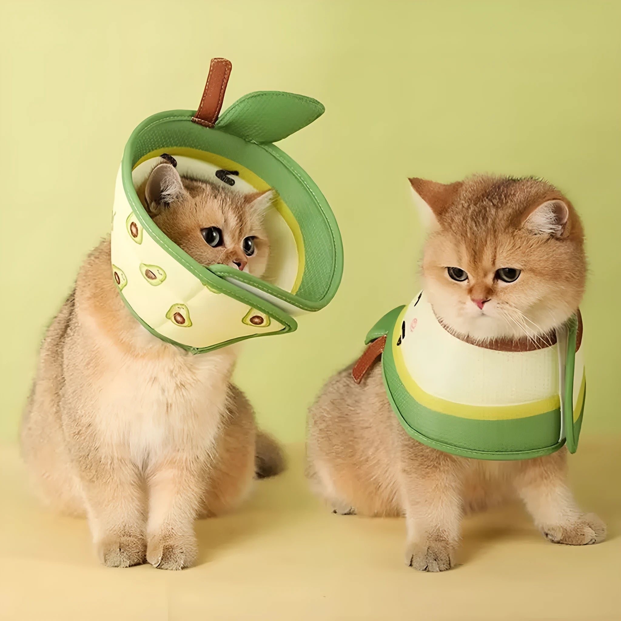 Soft grey adjustable cat recovery cone collar on a white background.