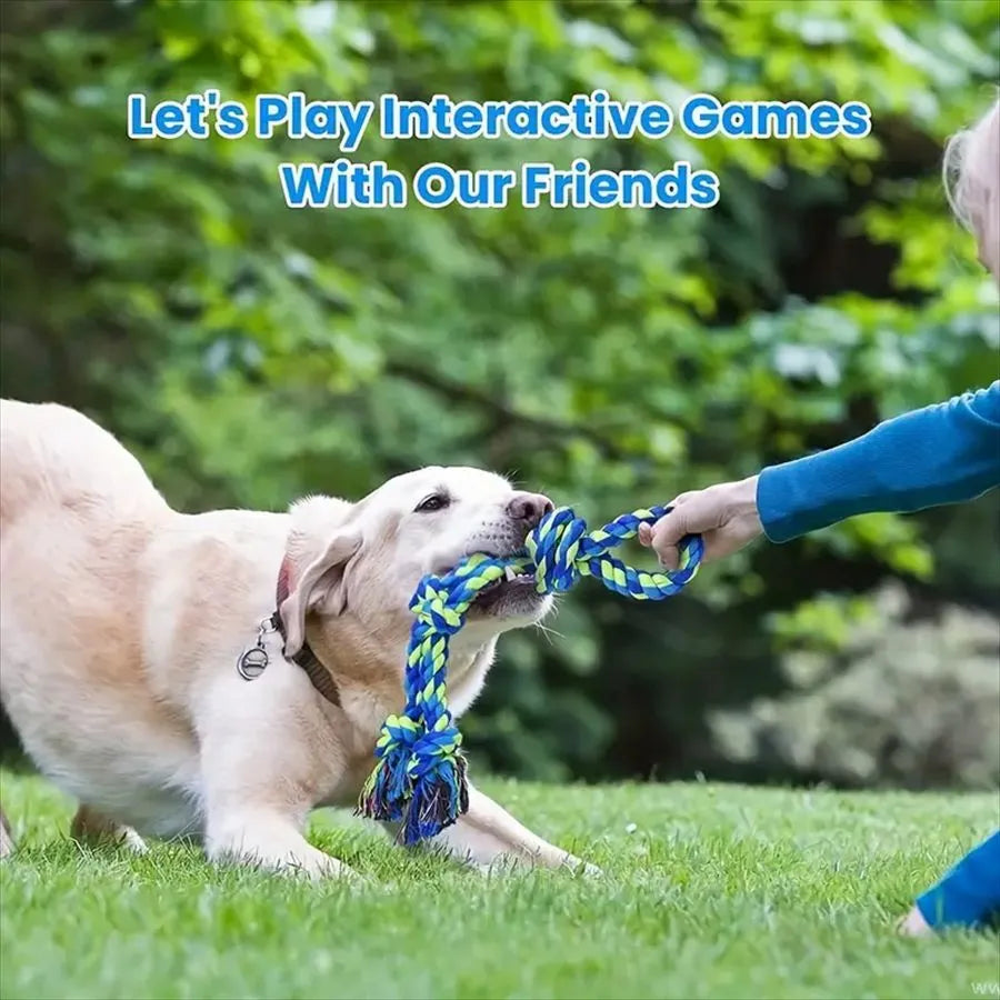 Heavy-duty cotton rope knot dog toy for large breeds, 77cm long, with four or five knots for chewing and tug of war.