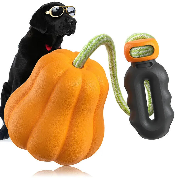 Orange pumpkin-shaped plastic dog chew toy with a blue rope attached for fetching and tugging.