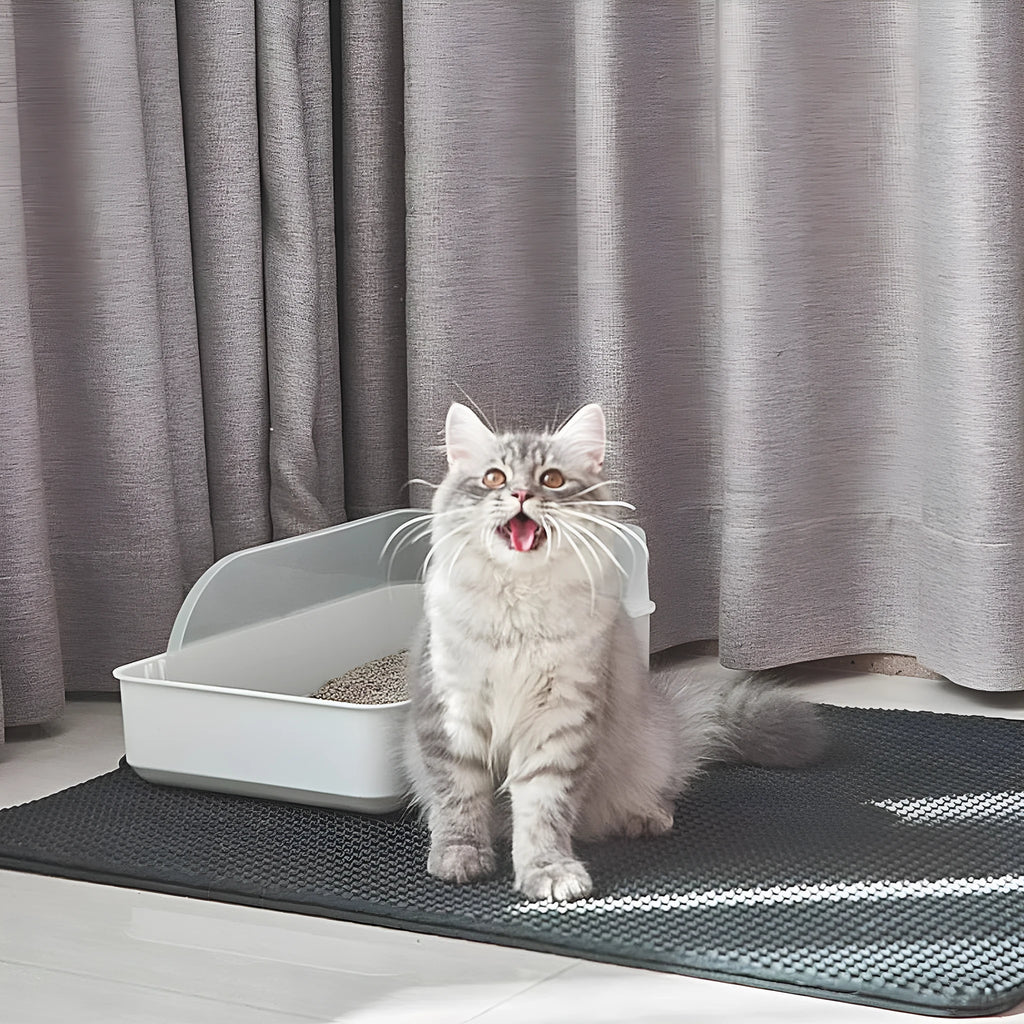 Black honeycomb double layer cat litter mat with non-slip bottom placed near litter box