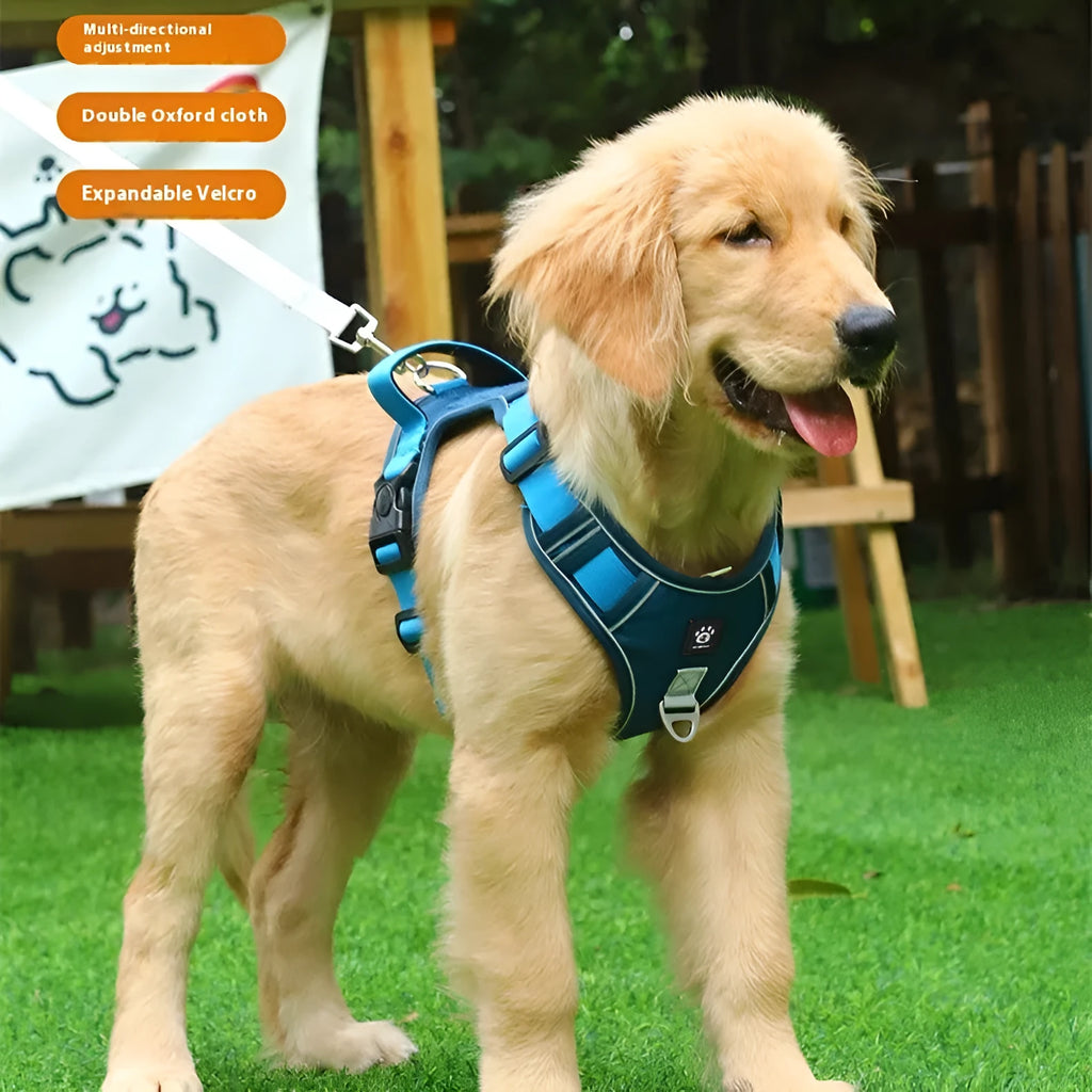 Vest-style dog harness in Oxford cloth, available in black, purple, lake blue, and khaki, with optional reflective rope.