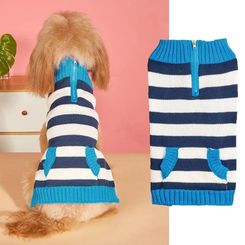 Small dog wearing acrylic sweater with horizontal front zipper and contrast colour detailing