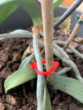 Colourful cat-shaped plastic plant clip for garden stem support.