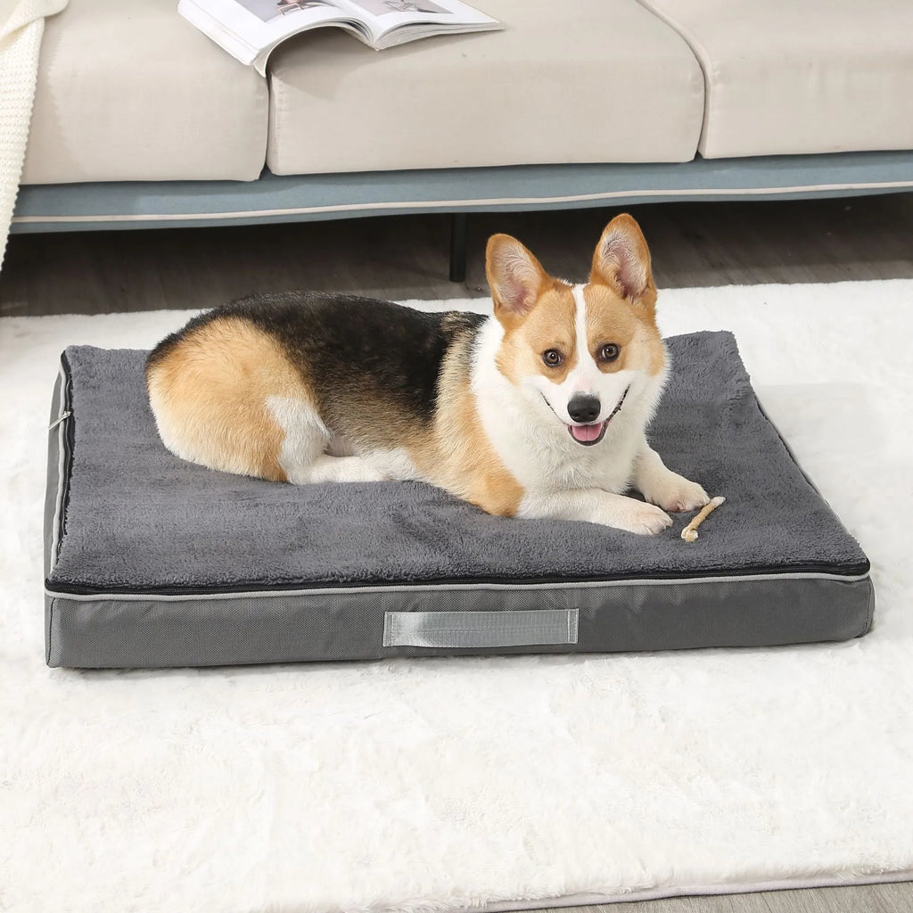 Removable washable memory sponge dog mat in brown, showing textured cover and size options.