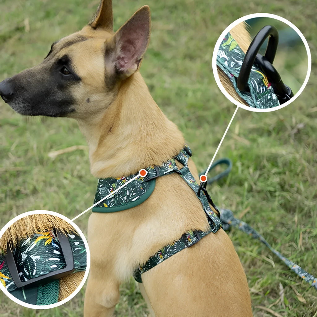 Adjustable cloth dog harness and lead six-piece set showing chest harness, collar, waste bag, bow tie, and scarf.