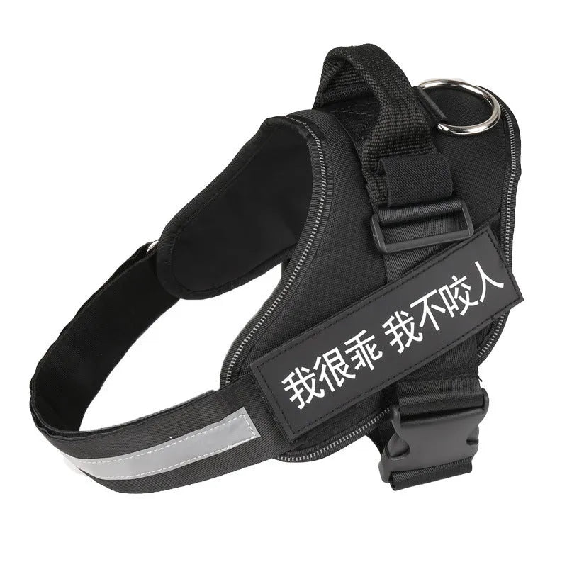Nylon dog chest harness and leash set in red, with adjustable straps and traction rope on a white background