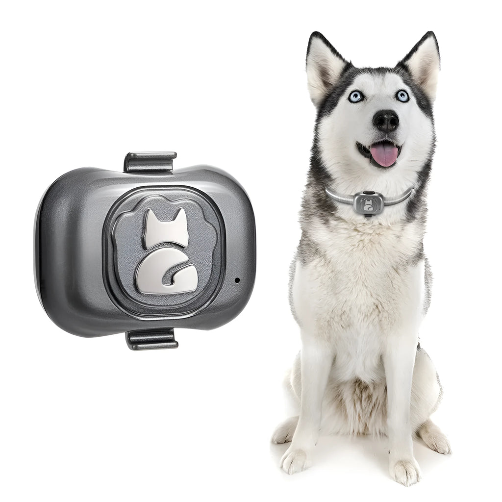 Black GPS pet tracker unit with hanging rope for attachment to a dog or cat collar.