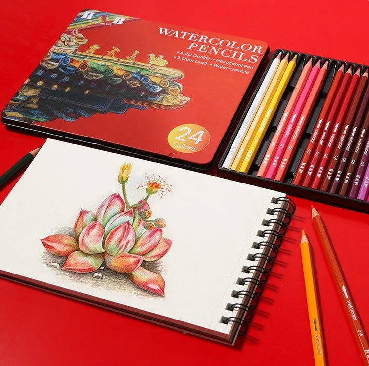 Iron box containing 24 water soluble coloured pencils in a wooden case.