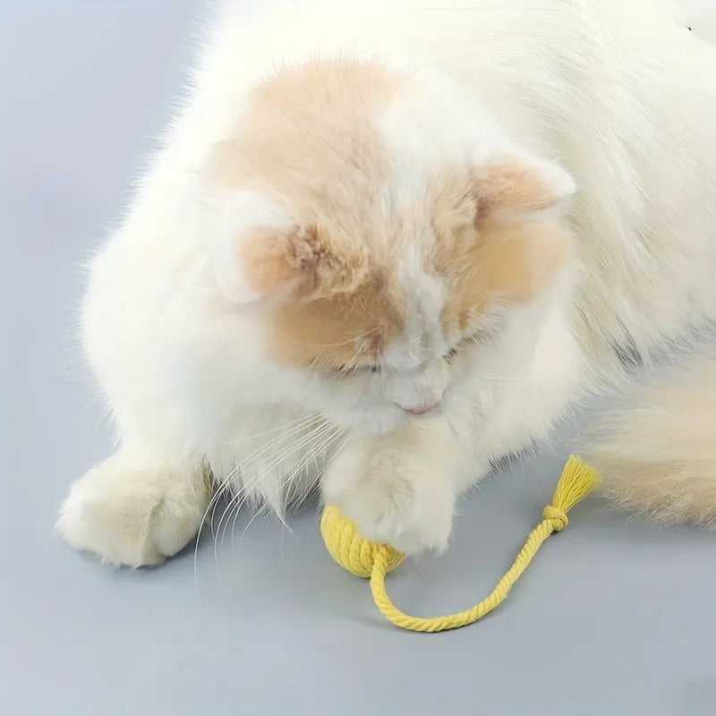 Cat toy ball with rope attachment and bell inside, shown in green, pink, purple, and yellow colour options