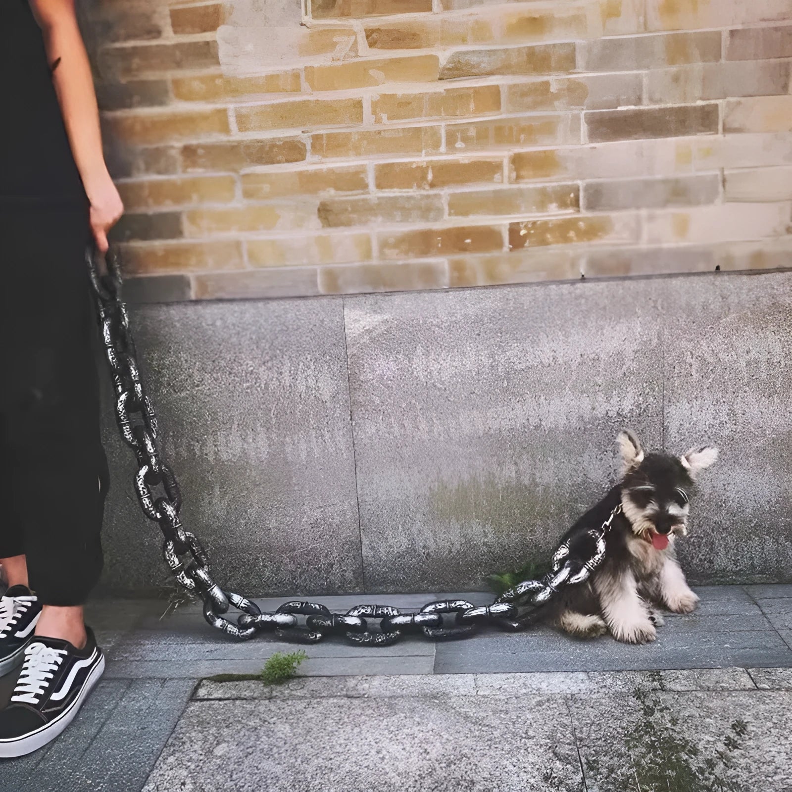 Simulation dog lead prop in bronze, antique silver, or black colour for video spoofs.