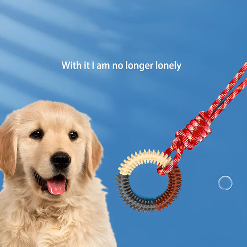 Colourful braided rope dog toy with knots, 43 cm long, for puppies and small dogs