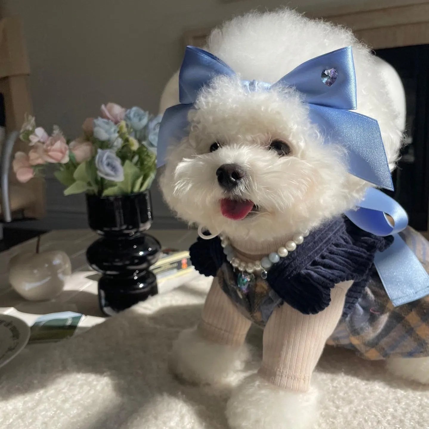 Blue and pink adjustable bow dog headdress hair band on a white background.