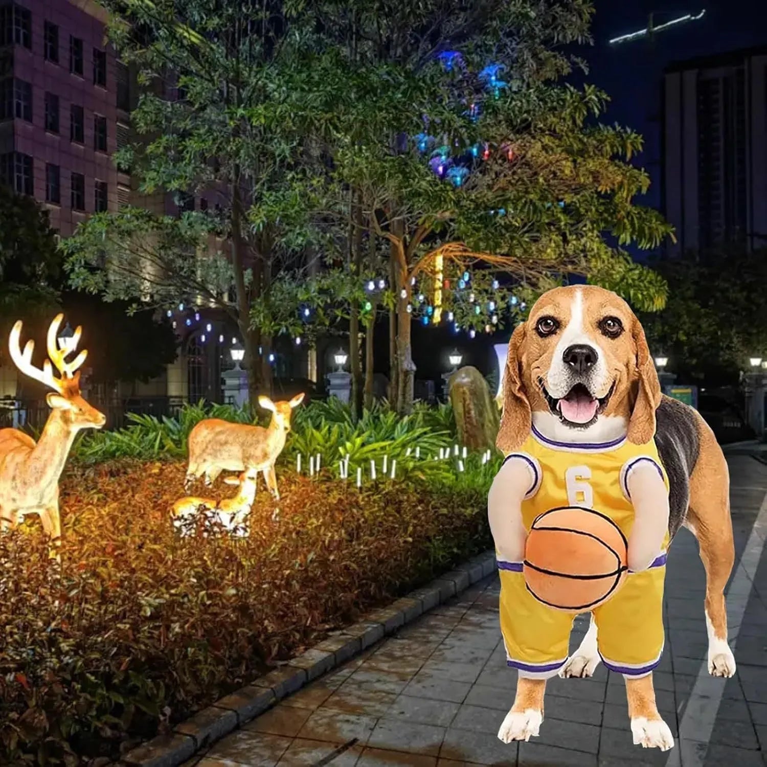Small dog wearing red basketball player costume with padded arms and a bouncing basketball accessory