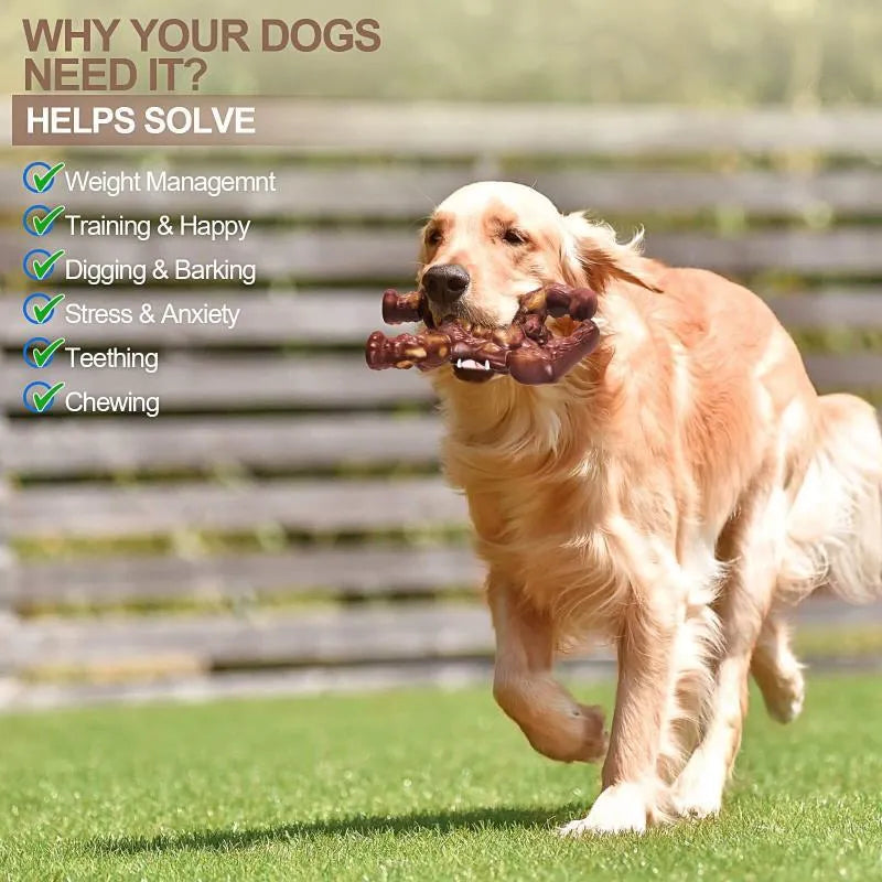 Scarlet beef-flavoured nylon dog chew toy with textured surface for dental cleaning