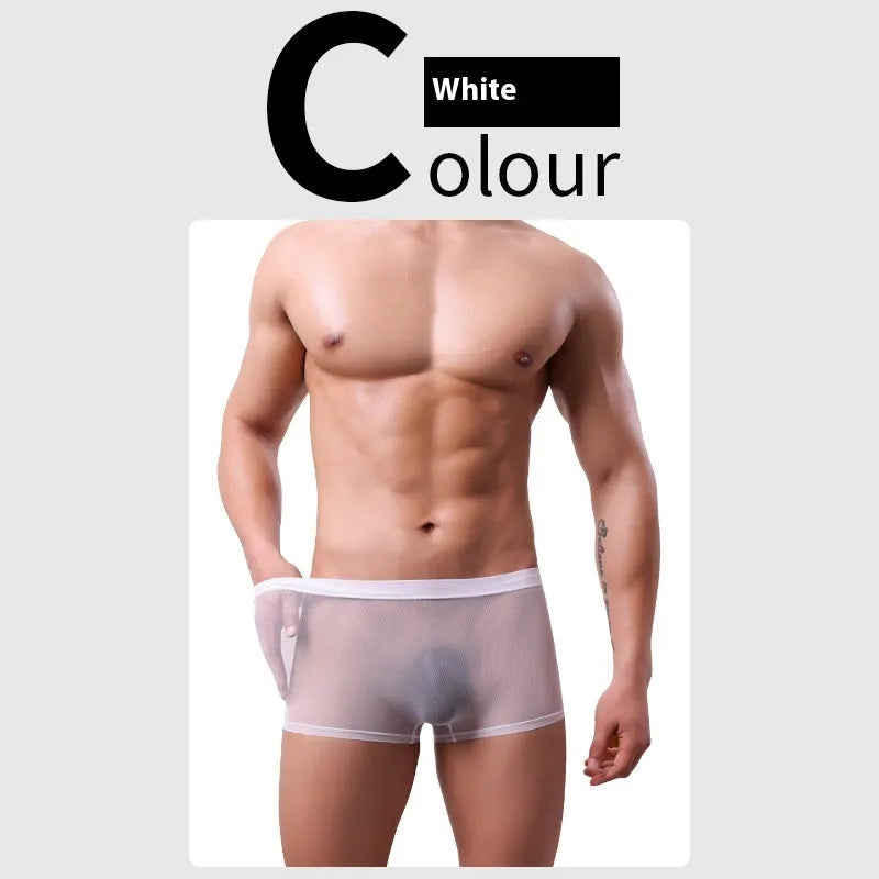 Men's low-waist mesh boxer briefs in black, white, green, blue, skin colour and pink colours