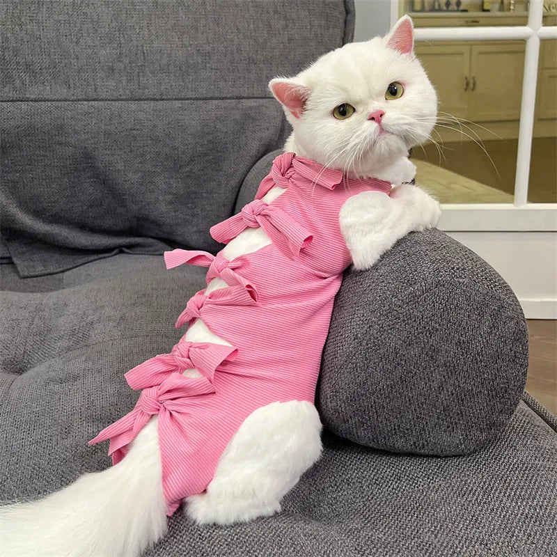 Lace-up cat sterilisation recovery suit in blue, shown on a cat, with back ties and tail hole visible.