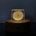 5cm transparent resin cube containing real preserved dandelion flower with USB charging base