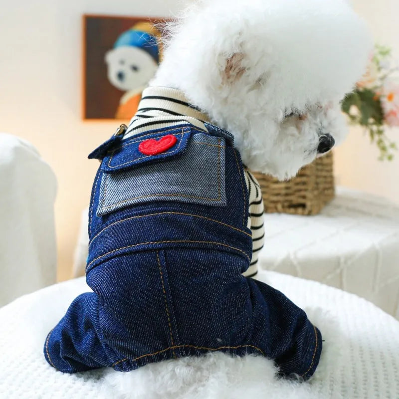 Dog wearing CWQ retro denim four-legged suspender pants in princess style, standing outdoors.