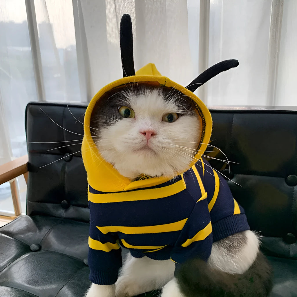 Yellow striped bee costume plush hoodie for bulldog pet cotton winter jacket in yellow and black design