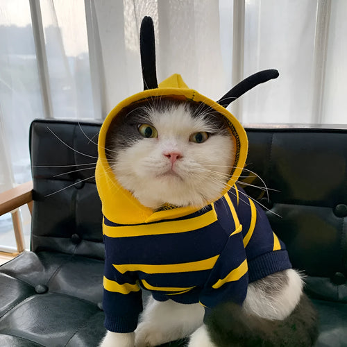 Yellow striped bee costume plush hoodie for bulldog pet cotton winter jacket in yellow and black design