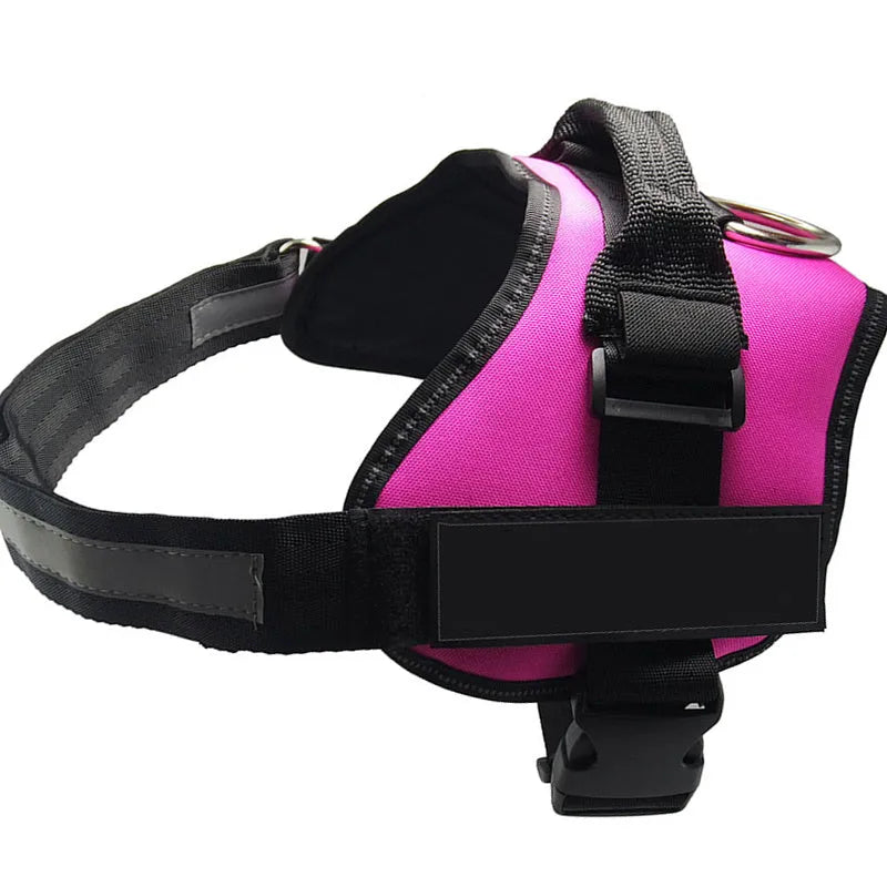 Reflective adjustable no-pull dog harness with handle on black labrador