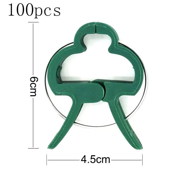 Green plastic and zinc plant fixing clips for supporting climbing tomato and cucumber vines.