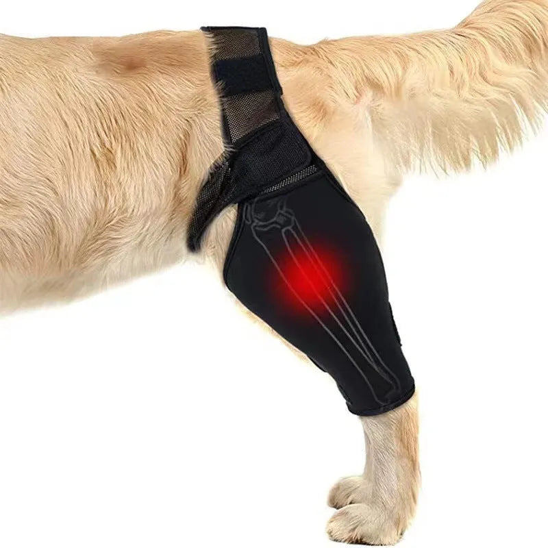 Dog leg support protector made of diving cloth and mesh with adjustable Velcro strap, shown on a dog's leg.