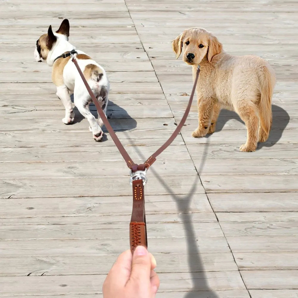 Leather 2-way dog leash in black or brown for walking two dogs hands-free
