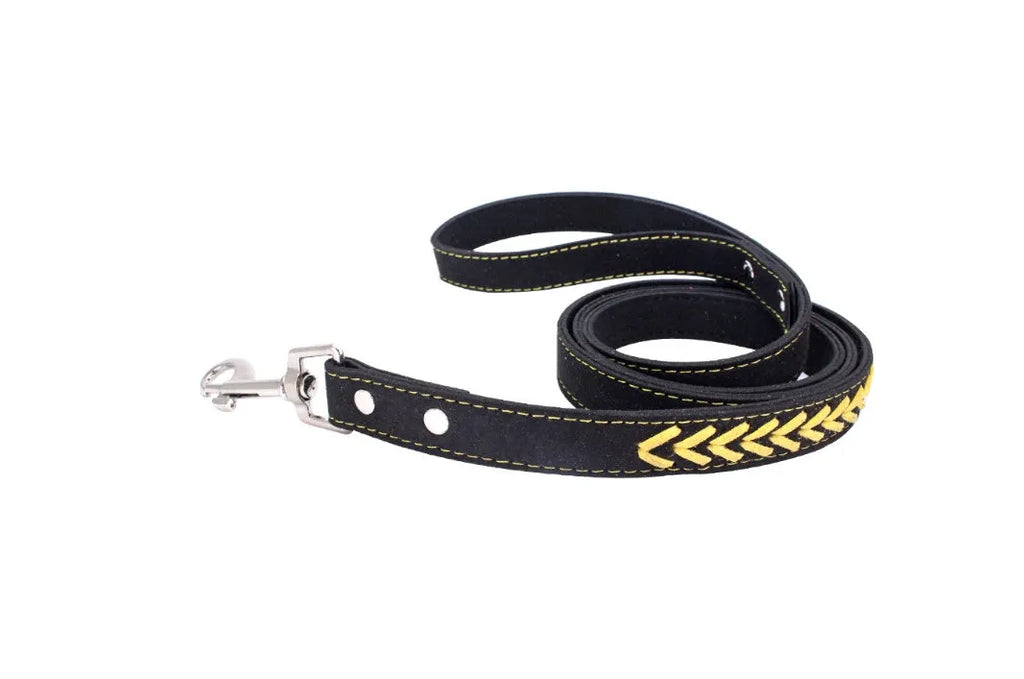 Stainless steel iron dog collar with laser lettering on genuine leather strap, available in blue, pink, purple, red and yellow
