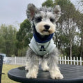 Blue and grey white pet hoodie with reflective letters for dogs and cats