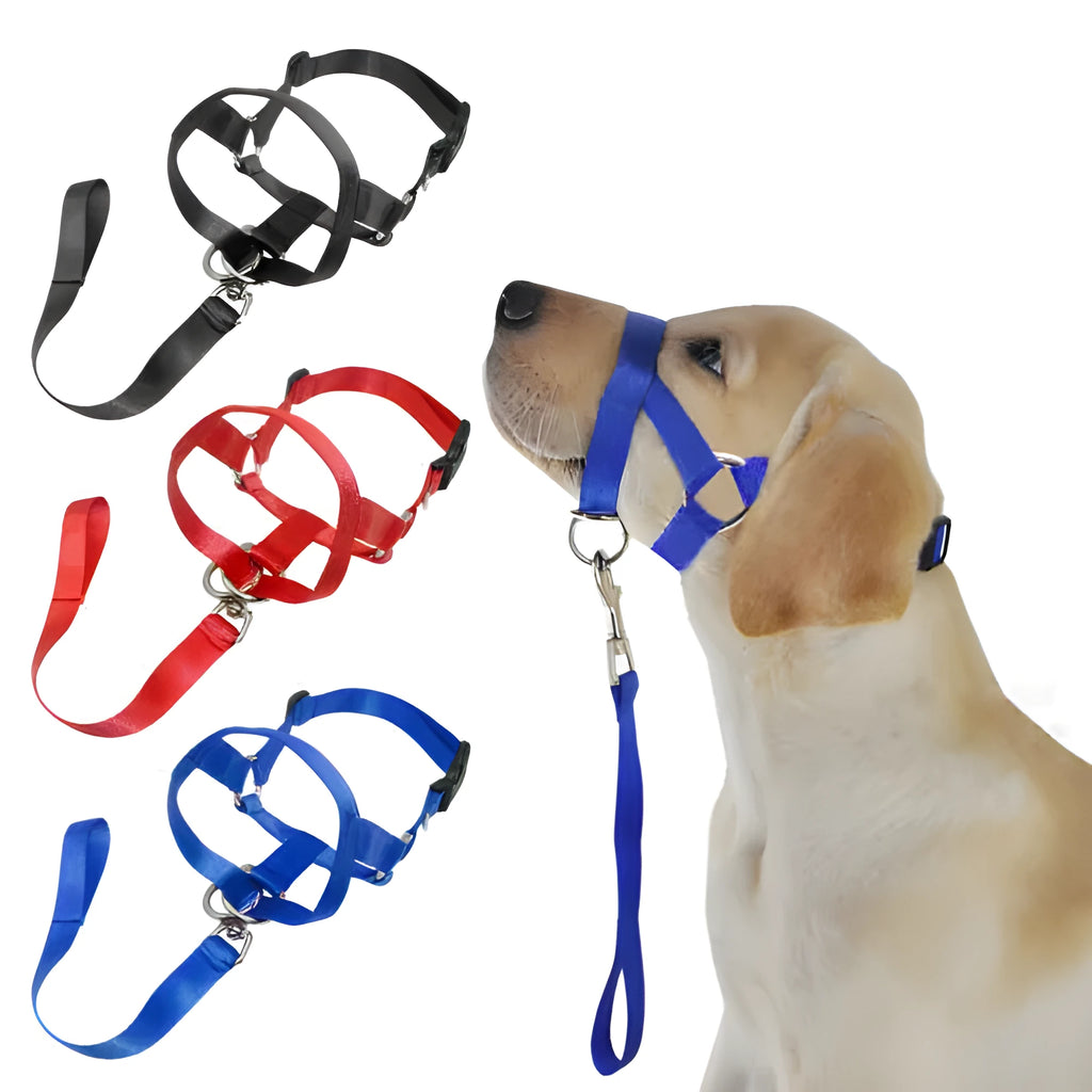 Nylon dog muzzle rushing leash cover in black, blue, and red with size options