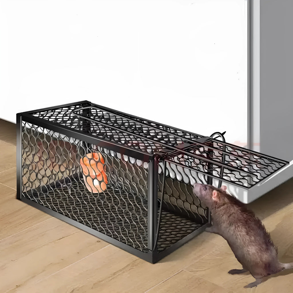 A white and grey automatic humane mouse trap cage with a one-way door, shown in Small, Medium, and Large sizes on a wooden surface.