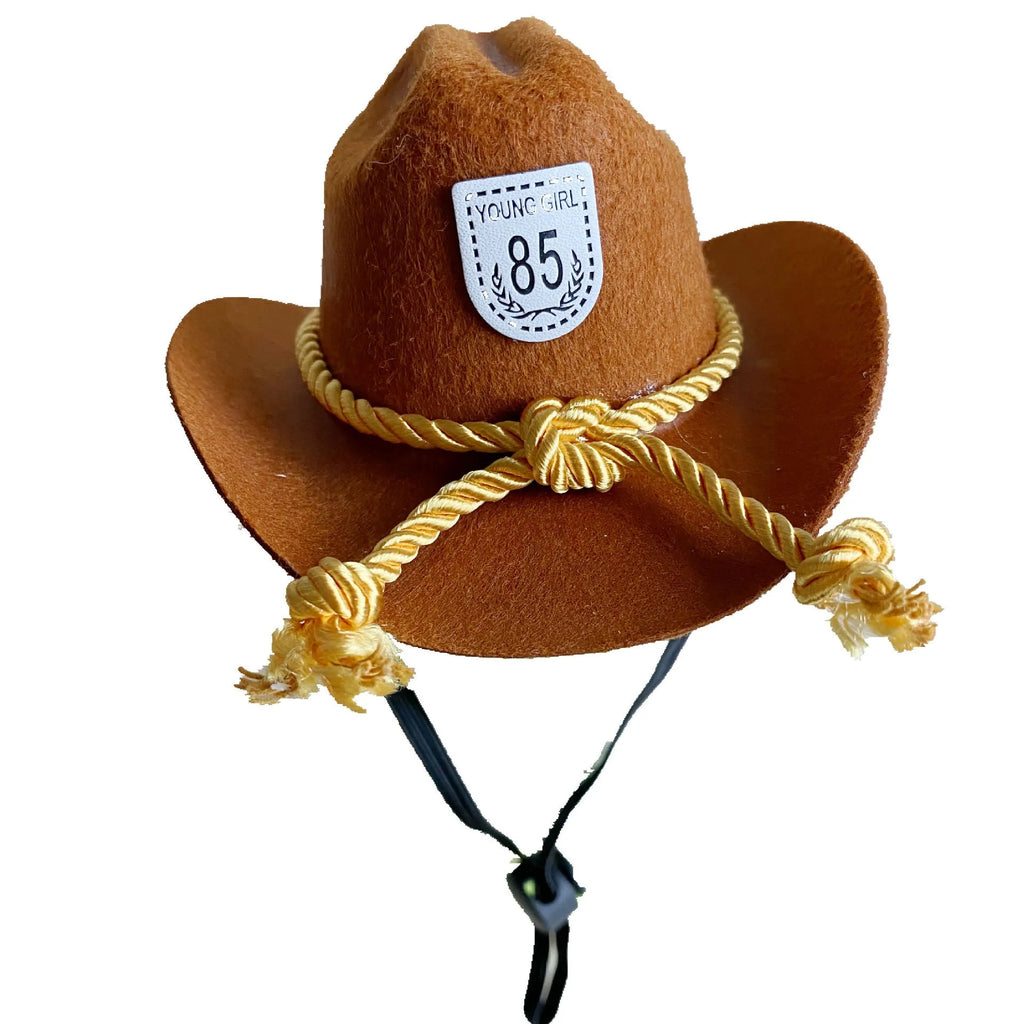 British-style brown non-woven fabric cowboy hat for a cat on a white background.