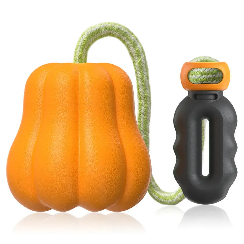Orange pumpkin-shaped Bite Molar plastic dog chew toy with a blue rope attached for tugging.