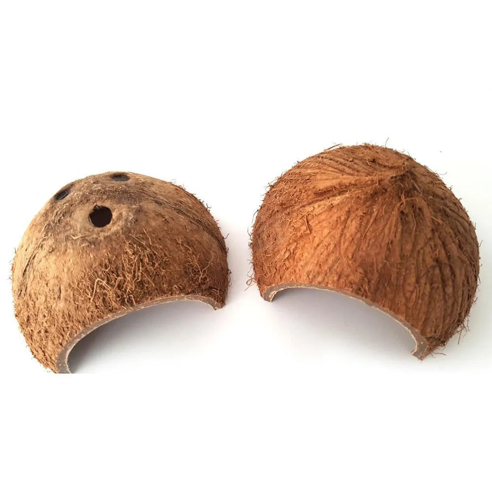 Natural coconut shell reptile hideout cave with entrance hole, placed on moss in a terrarium
