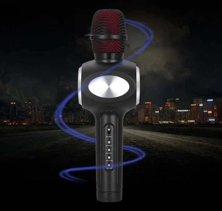 Yaerjia E108 black portable karaoke microphone with built-in speaker and echo effects.