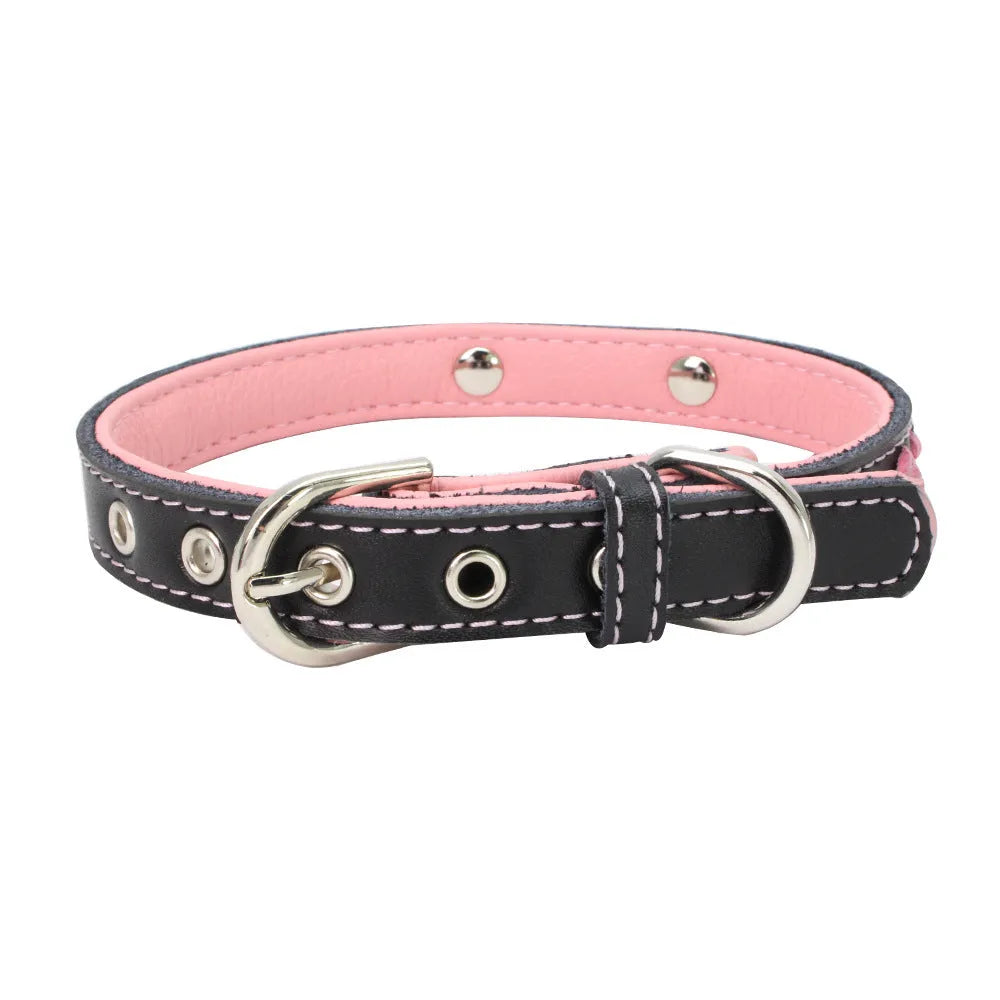 Stainless steel iron dog collar with laser lettering on genuine leather strap, available in blue, pink, purple, red and yellow