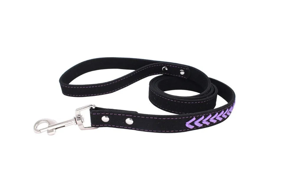 Stainless steel iron dog collar with laser lettering on genuine leather strap, available in blue, pink, purple, red and yellow