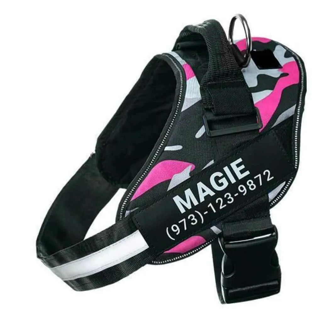 Reflective adjustable no-pull dog harness with handle on black labrador